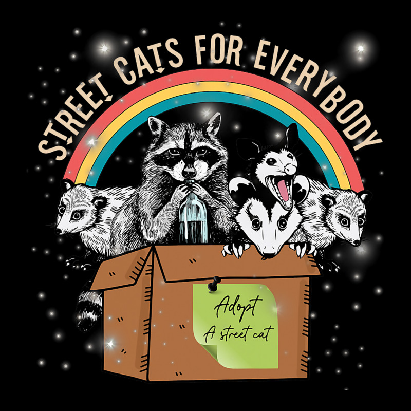 Street Cats For Everybody Trash Santa Opossum Racc Lightweight Hoodie | Artistshot