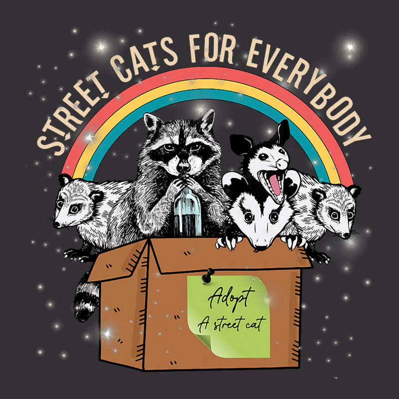 Street Cats For Everybody Trash Santa Opossum Racc Vintage Hoodie And Short Set | Artistshot