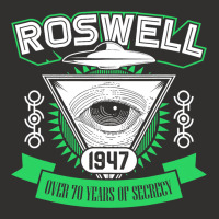 Roswell 1947 Alien Area 51 Conspiracy Theory Champion Hoodie | Artistshot