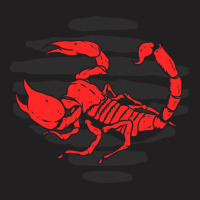 Scorpion Design Animal T-shirt | Artistshot