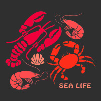 Sea Life Lobster Crab Shrimp And Clams Ocean Seafo Round Leatherette Patch | Artistshot