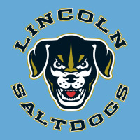 Lincoln-saltdogs-3 Basic Youth T-shirt | Artistshot