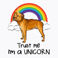 Rainbow Staffordshire Bull Terrier Trust Me Im A U T-shirt | Artistshot