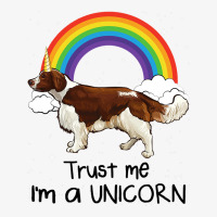 Rainbow Welsh Springer Spaniel Trust Me Im A Unico Champion Hoodie | Artistshot