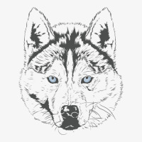 Siberian Husky Sled Dog Snow Nose Ladies Fitted T-shirt | Artistshot