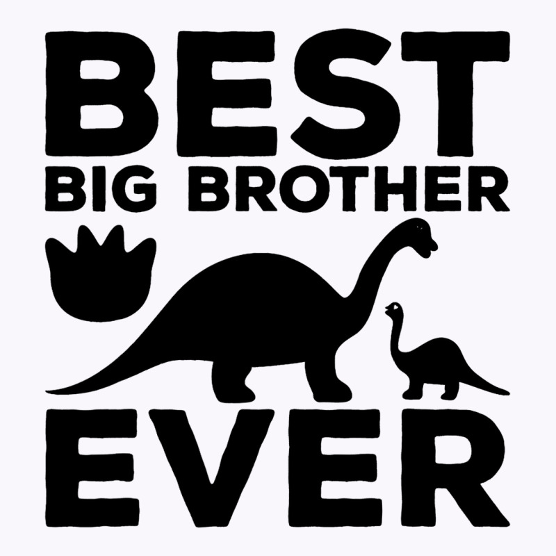 Sibling Dinosaur Trex Humor Best Big Brother Ever  Tank Top | Artistshot