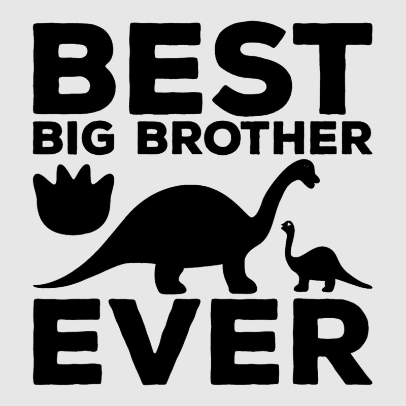 Sibling Dinosaur Trex Humor Best Big Brother Ever  Hoodie & Jogger Set | Artistshot