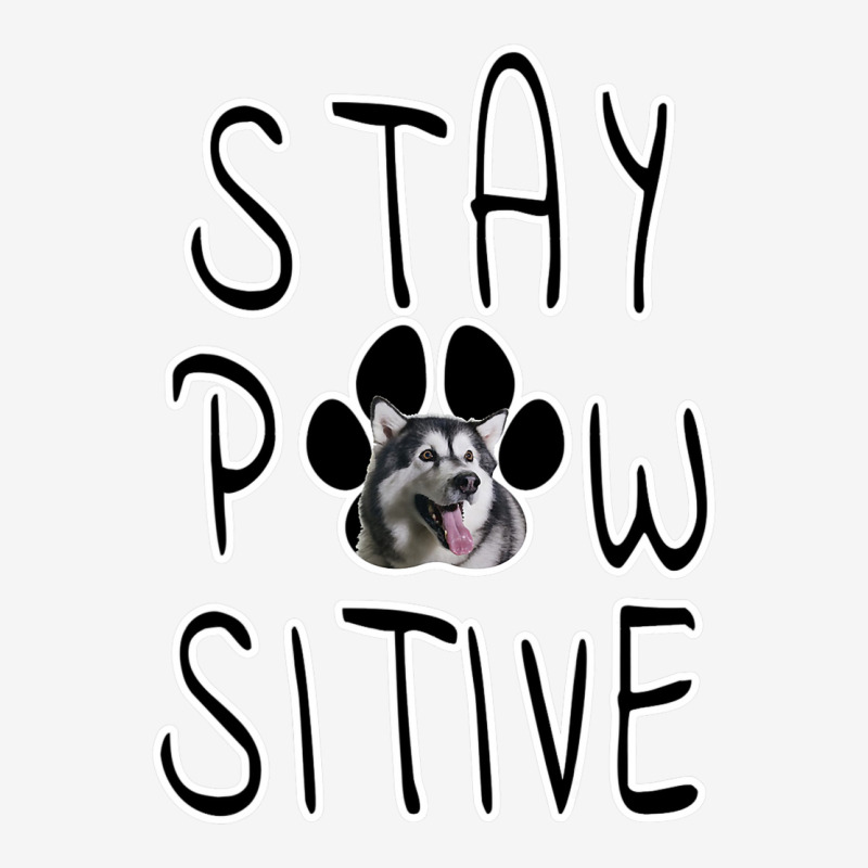 Stay Positive Alaskan Malamute Skinny Tumbler | Artistshot