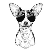 Rat Terrier Dog With Sunglasses Long Sleeve Shirts | Artistshot