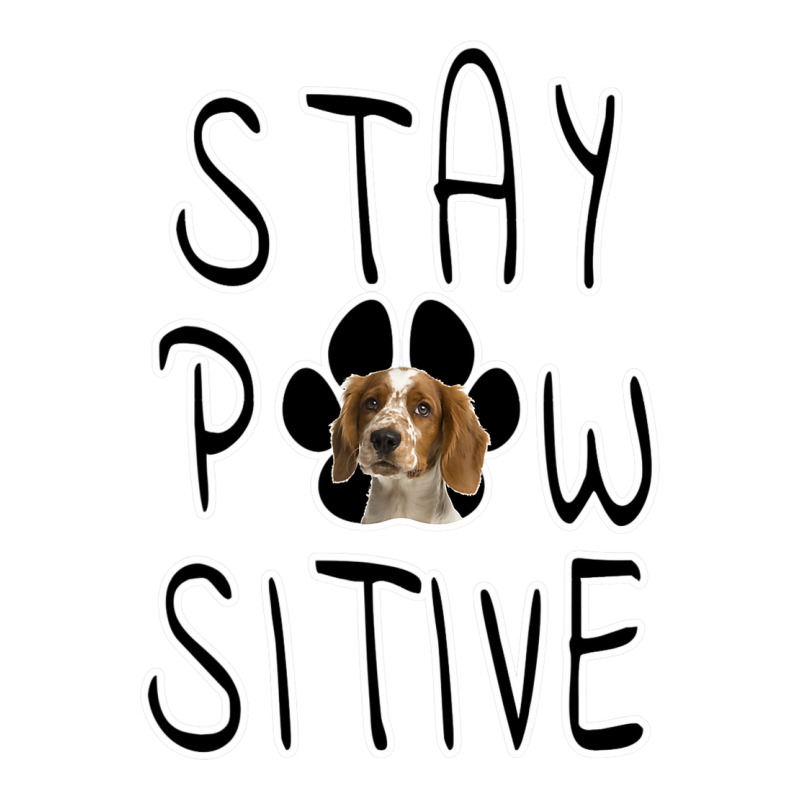 Stay Positive Welsh Springer Spaniel Zipper Hoodie | Artistshot