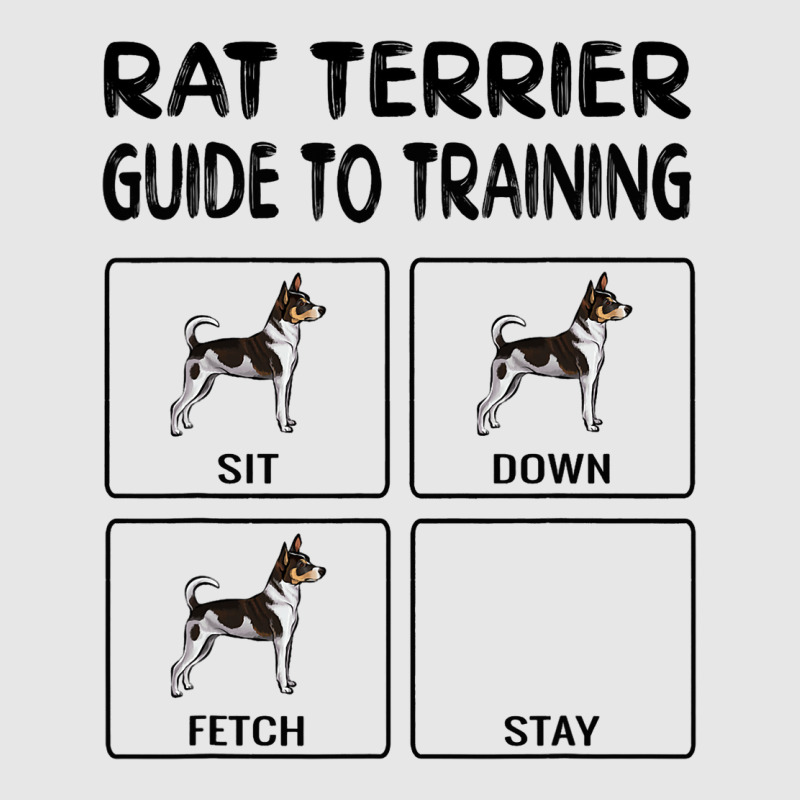 Rat Terrier Guide To Training Dog Obedience3 Hoodie & Jogger Set | Artistshot