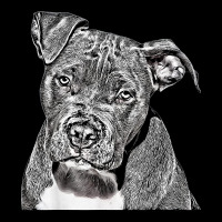 Dog Dad Pit Bull T Shirt Pocket T-shirt | Artistshot