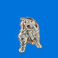 Golden Retriever Puppy Wearin Shield S Patch | Artistshot