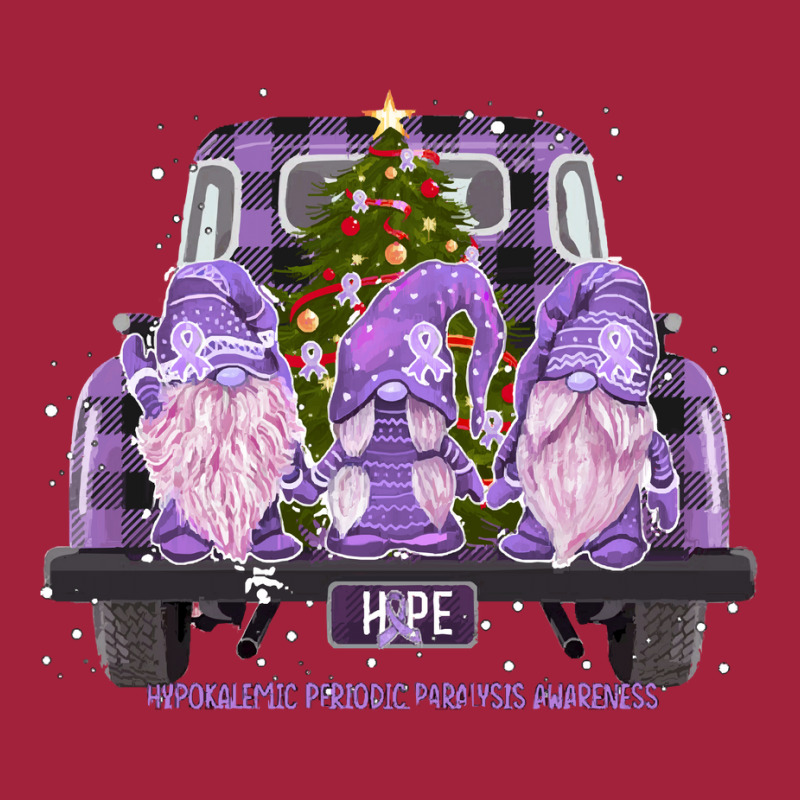 Hypokalemic Periodic Paralysis Awareness   Gnome Hope Christmas T Shir Basic Youth T-shirt | Artistshot