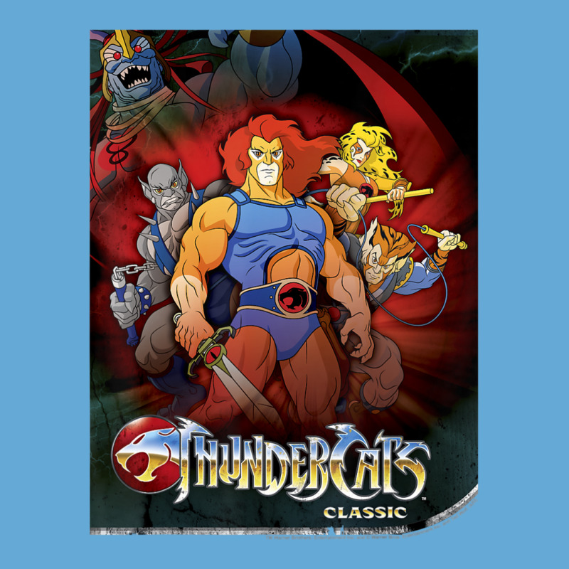 Thundercats Classic Group Shot Poster Basic Youth T-shirt | Artistshot