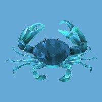 Aqua Colored Crab Basic T-shirt | Artistshot