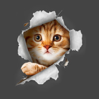 Ca, Orange Cat T Cat Torn Cloth Kitten Basic T-shirt | Artistshot