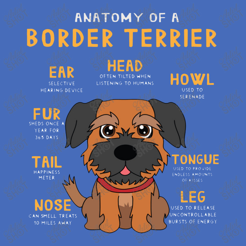 Border Terrier Anatomy Funny Dog Mom Dad Cute Gift Basic T-shirt | Artistshot