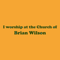 I Worship At The Church Of Brian Wilson Basic T-shirt | Artistshot