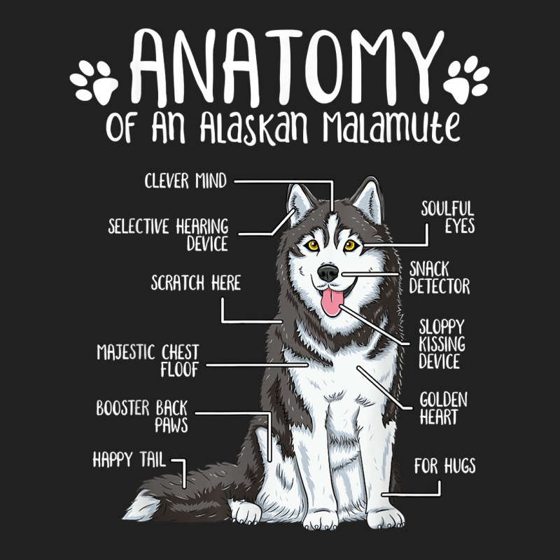 Funny Anatomy Alaskan Malamute Dog Lover T Shirt Basic Youth T-shirt | Artistshot