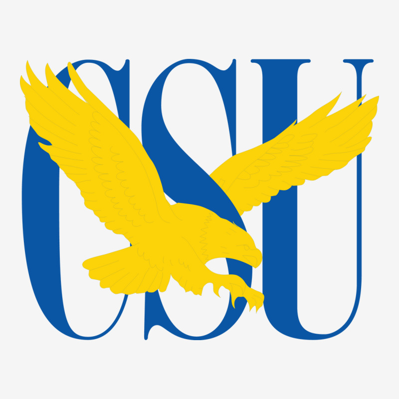 Coppin State Iphone 13 Case | Artistshot