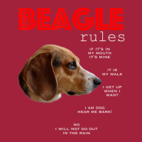 Rules For The Owner Of A Beagle Basic Youth T-shirt | Artistshot