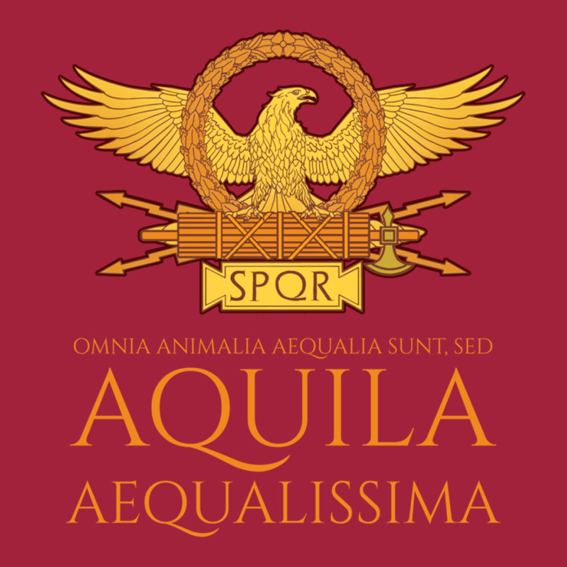 Ancient Rome   Latin Language   The Eagle Is The Most Equal Long Sleev Basic Youth T-shirt by cm-arts | Artistshot