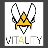 League Of Legends Team Vitality Basic Youth T-shirt | Artistshot