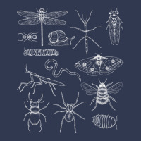 Minibeasts Insects And Invertebrates Drawings Basic T-shirt | Artistshot