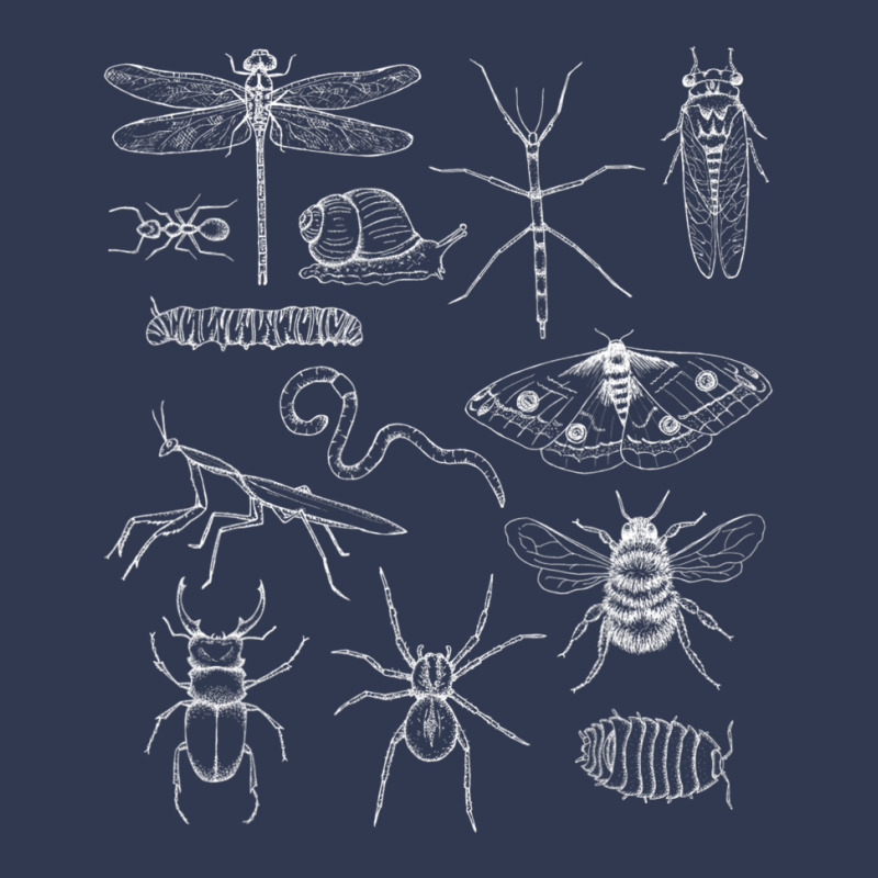 Minibeasts Insects And Invertebrates Drawings Basic T-shirt | Artistshot