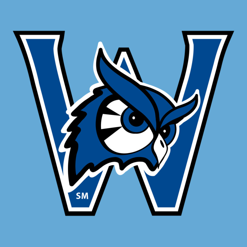 Westfield State Owls Basic T-shirt | Artistshot