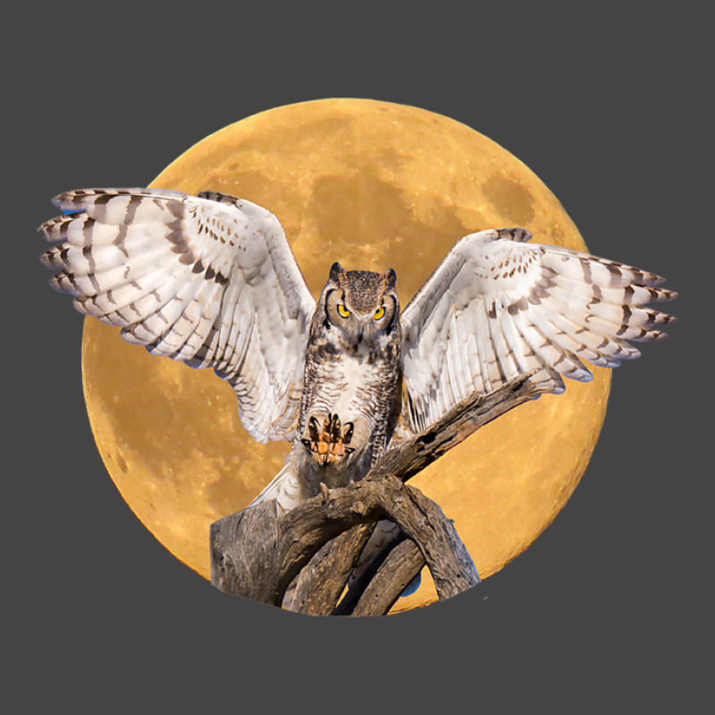 Majestic Great Horned Owl Nocturnal Bird With Full Moon Basic T-shirt | Artistshot