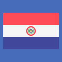 Flag Of Paraguay Basic Youth T-shirt | Artistshot