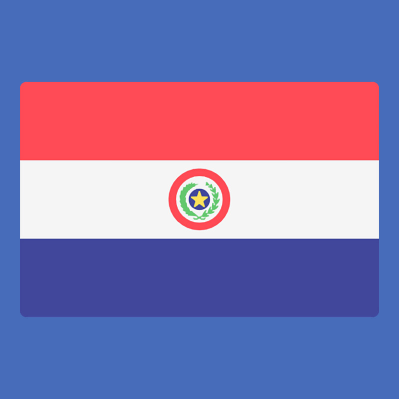 Flag Of Paraguay Basic Youth T-shirt by Pannell Quintero | Artistshot