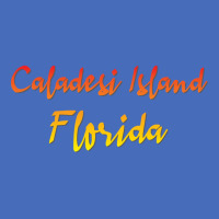 Hot Trend Caladesi Island Florida (2) Basic Youth T-shirt | Artistshot