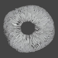 Mycology Mushroom Spore Print Art Baby Summer Basic T-shirt | Artistshot