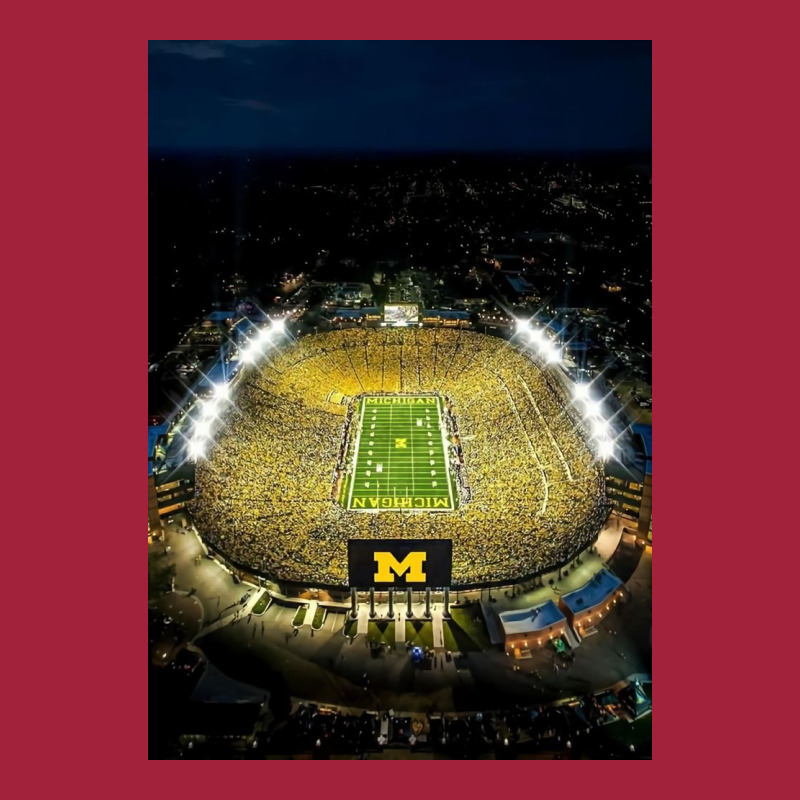 The Michigan Stadium Basic Youth T-shirt | Artistshot