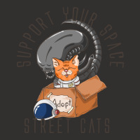 Support Your Space Street Cats Champion Hoodie | Artistshot