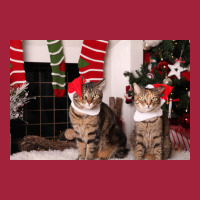 Christmas Kitties Poster Stars Basic T-shirt | Artistshot