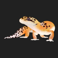 Leopard Gecko, Gecko Lovers, Painted Watercolor Gecko  Kids Pullover S Basic T-shirt | Artistshot