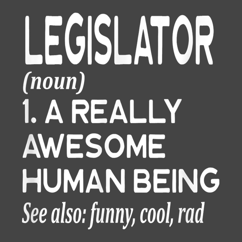 Legislator Definition Funny Legislation Lawmaker Politician T Shirt Basic Youth T-shirt | Artistshot