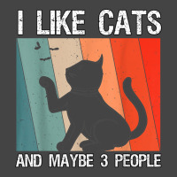 I Like Cats And Maybe 3 People Cats T Shirt Basic Youth T-shirt | Artistshot