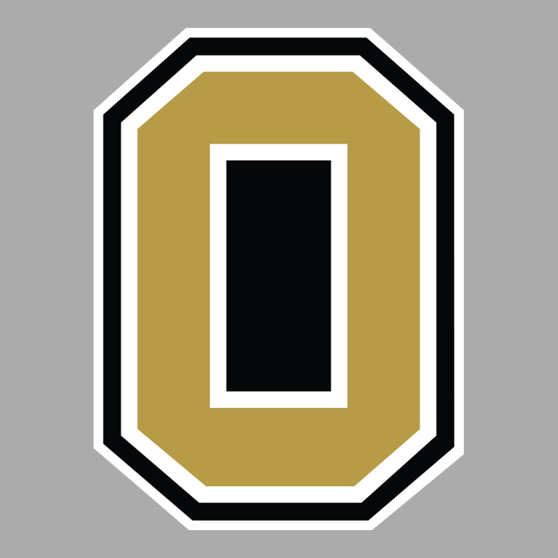 Oakland Golden Grizzlies Alternate T-Shirt by Rayas | Artistshot