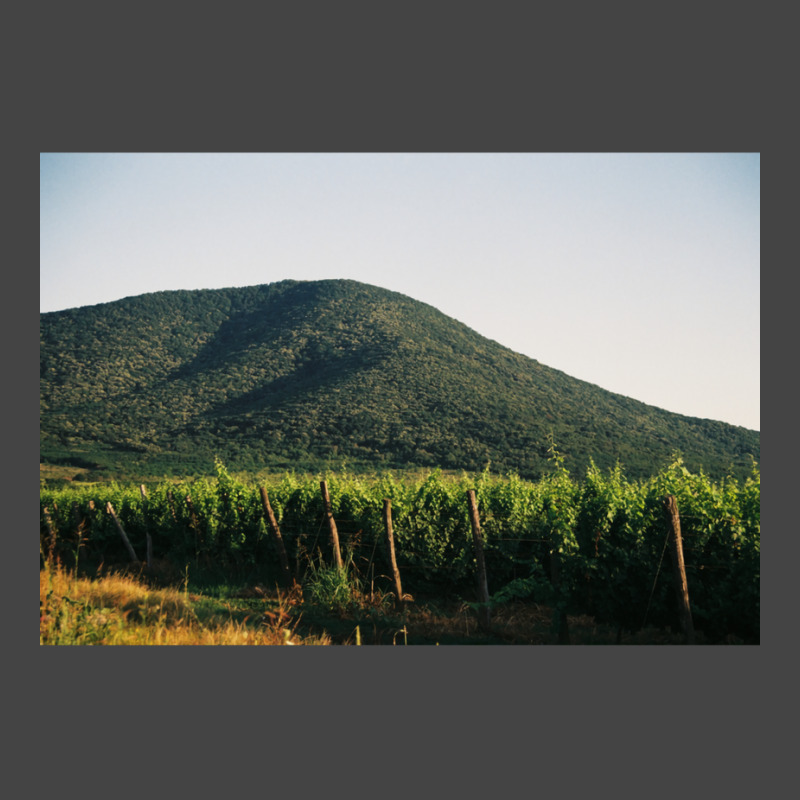 Hill With The Vineyard  Classic  Summer Green Basic T-shirt | Artistshot