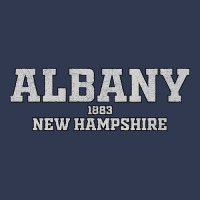 Albany New Hampshire Basic T-shirt | Artistshot