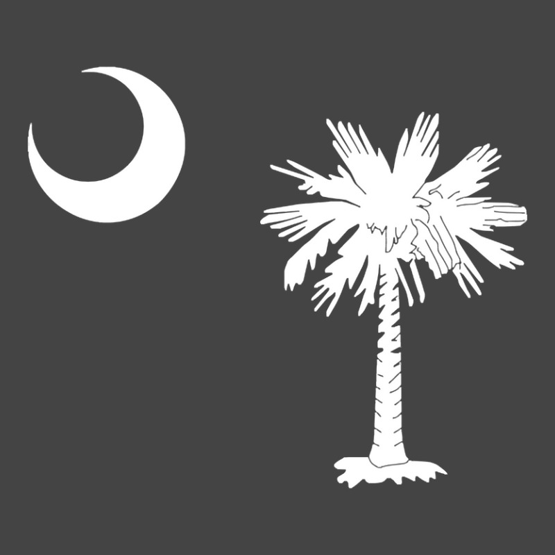 Big South Carolina Basic T-shirt | Artistshot