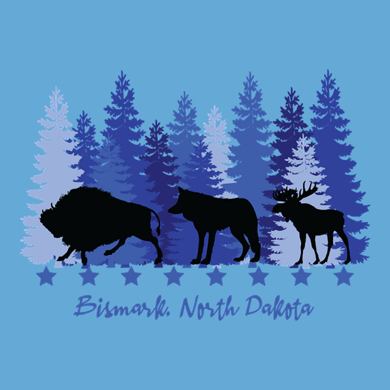 Bismark North Dakota-jnmer Basic T-shirt | Artistshot