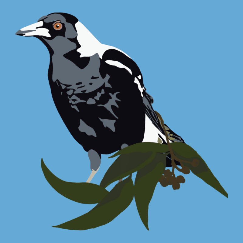 Australian Magpie  Kids Funny Basic T-shirt by paziodekajd | Artistshot