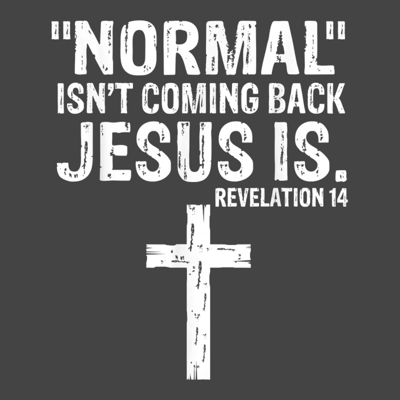 Normal Isn't Coming Back But Jesus Is Revelation 14 Costume T Shirt Basic T-shirt by delredske | Artistshot