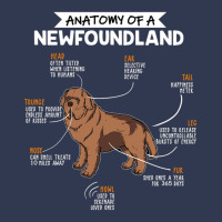 Anatomy Of A Newfoundland Basic Youth T-shirt | Artistshot